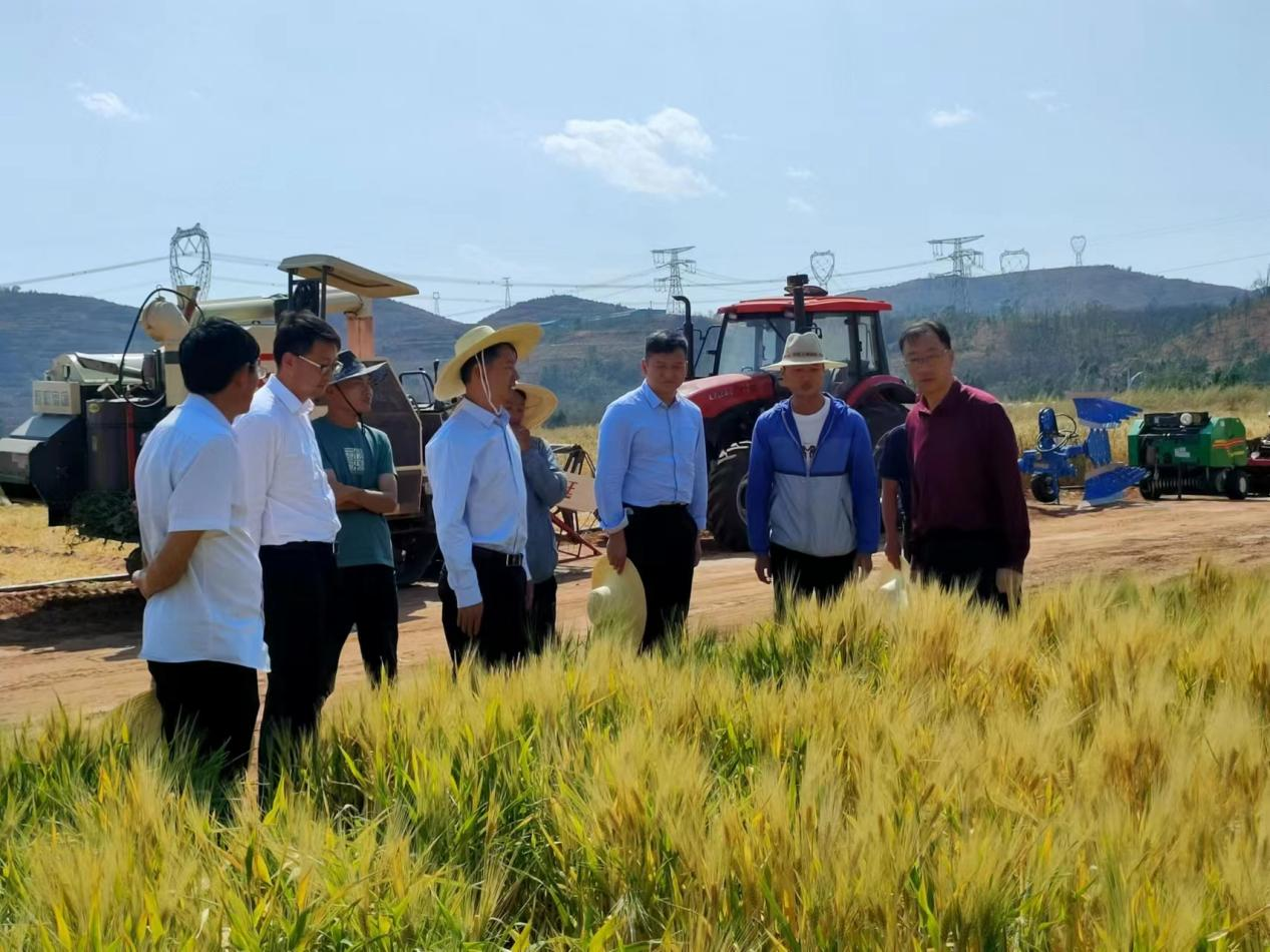 考察组现场调研青稞南繁育种基地