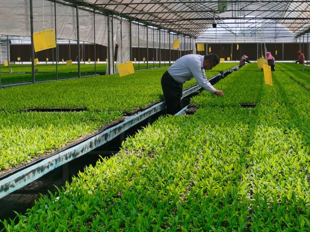 5.jpg?x-oss-process=style/w10