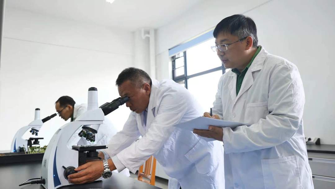 2.jpg?x-oss-process=style/w10