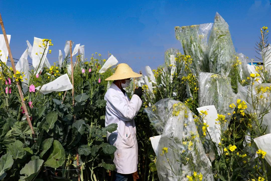 4.jpg?x-oss-process=style/w10