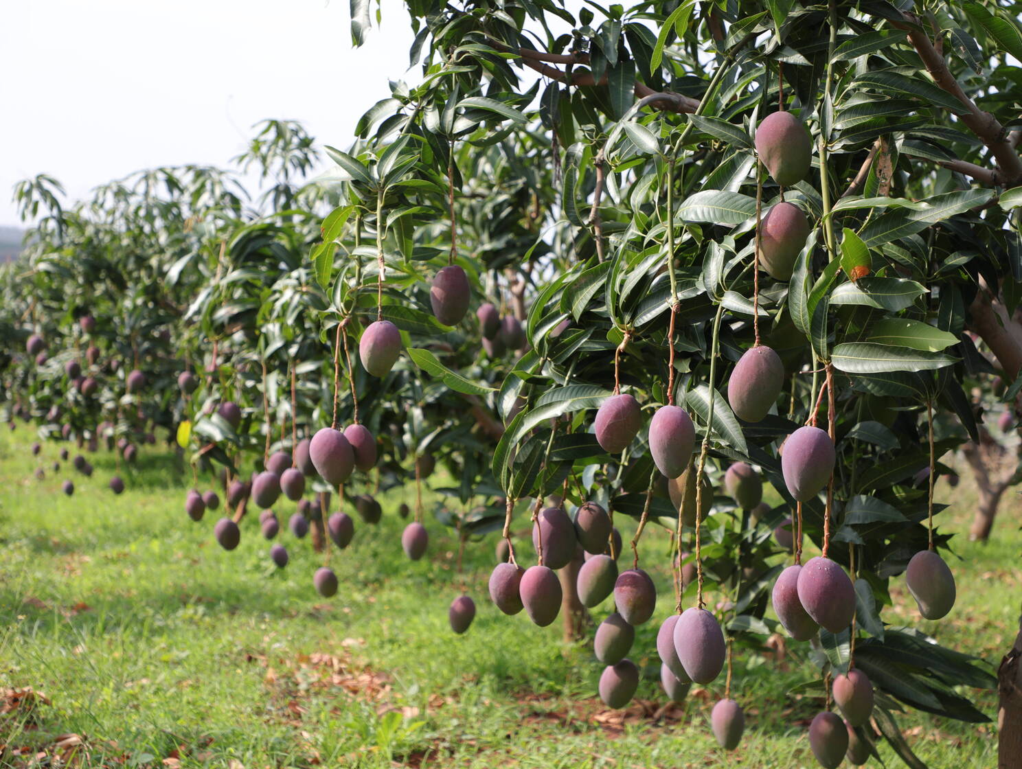 1W1A9076.JPG 1W1A9076.JPG