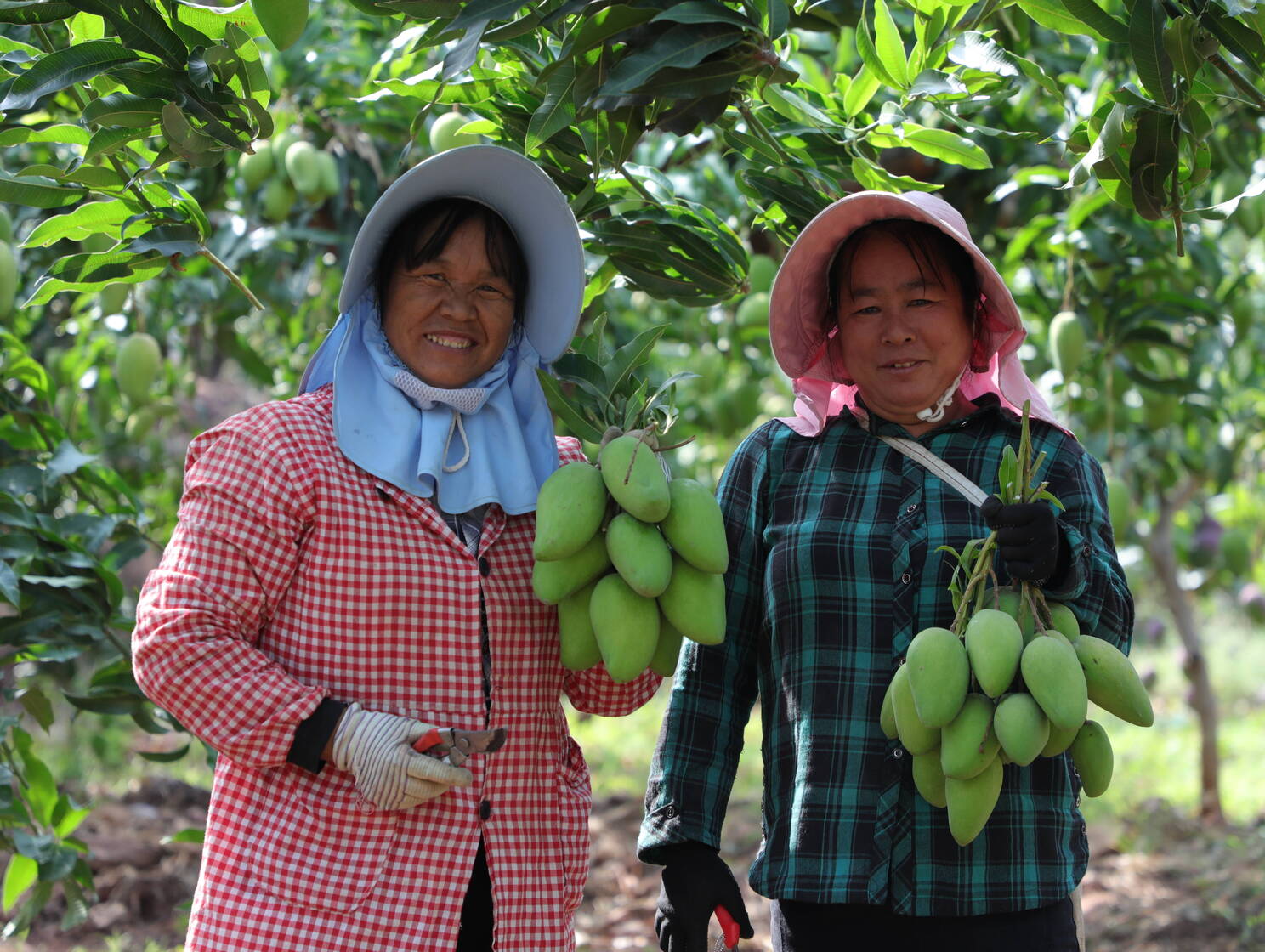 1W1A9102.JPG 1W1A9102.JPG