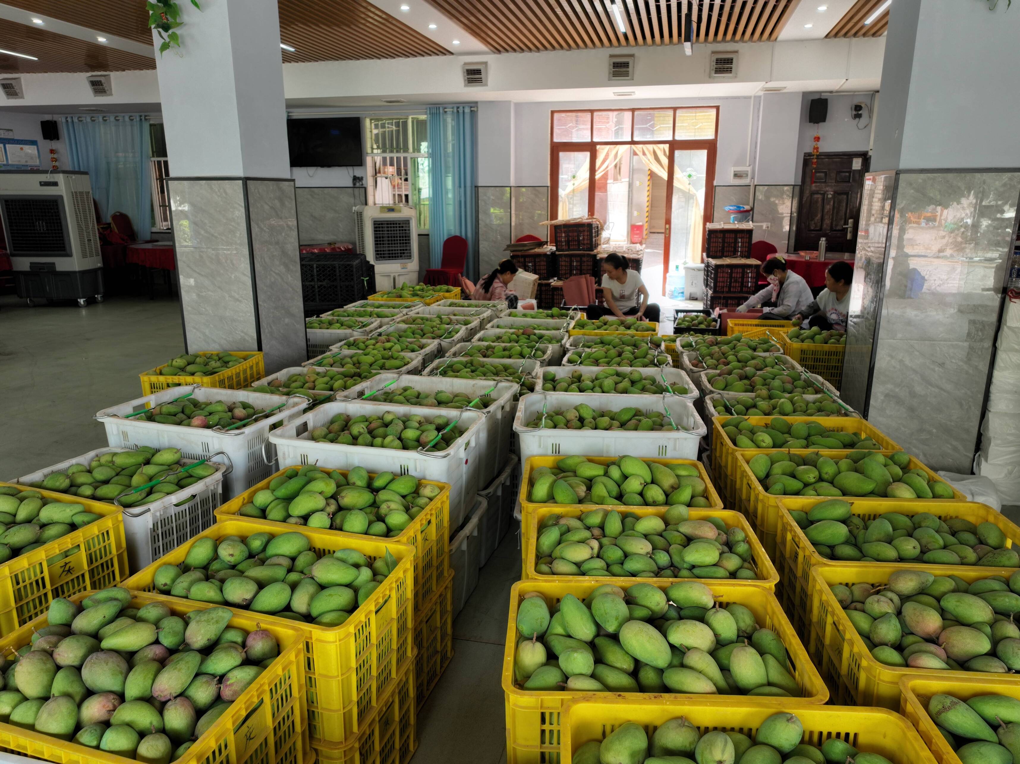 复制图片 复制图片