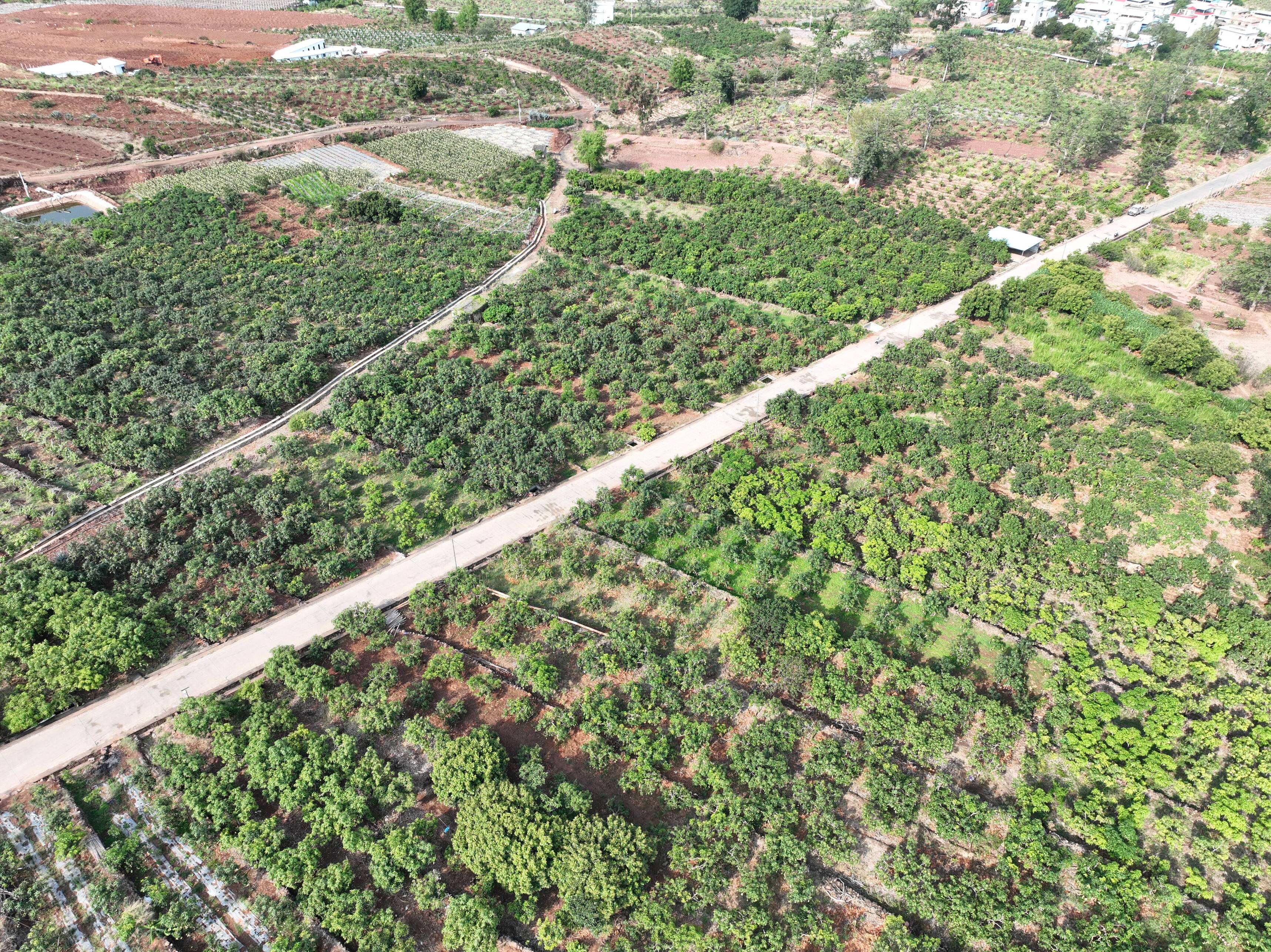 复制图片 复制图片