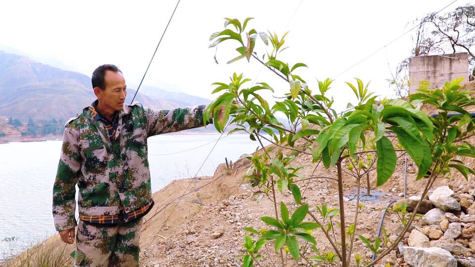 元谋:加快推进金沙湖热带水果示范园项目建设打造移民后扶产业新样板(图1)