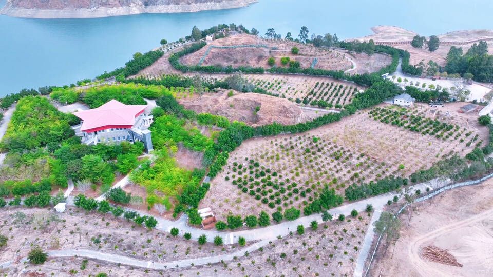 元谋:加快推进金沙湖热带水果示范园项目建设打造移民后扶产业新样板(图2)