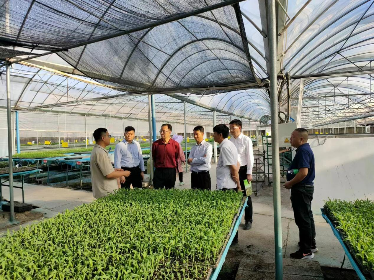 考察组现场调研工厂化育苗情况 考察组现场调研工厂化育苗情况
